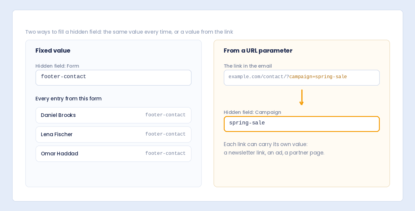A hidden field with a fixed value on every entry, next to one filled from a campaign parameter in the link