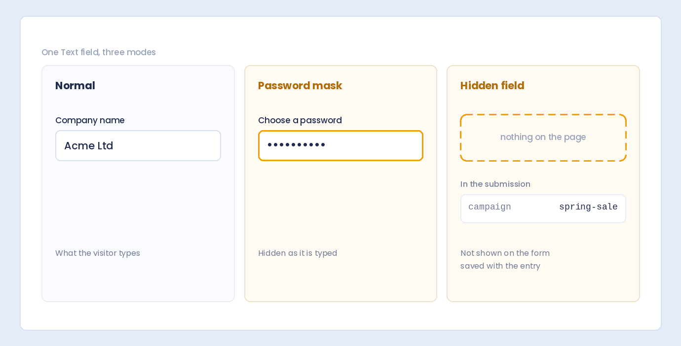 The same text field shown as a normal field, a password mask and a hidden field whose value is saved with the entry